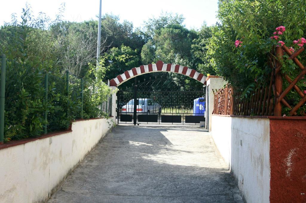 Apartments Nea Rovinj Dış mekan fotoğraf