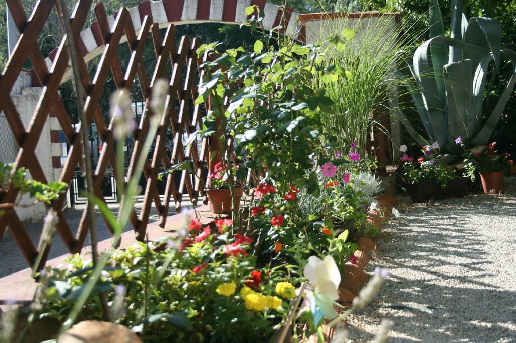 Apartments Nea Rovinj Dış mekan fotoğraf
