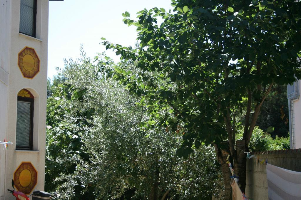 Apartments Nea Rovinj Dış mekan fotoğraf