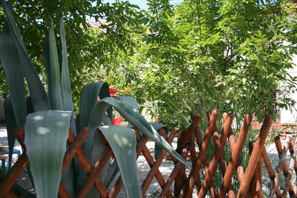 Apartments Nea Rovinj Dış mekan fotoğraf